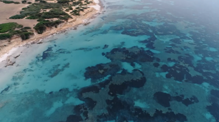 BIAT X TUNISIAN CAMPERS