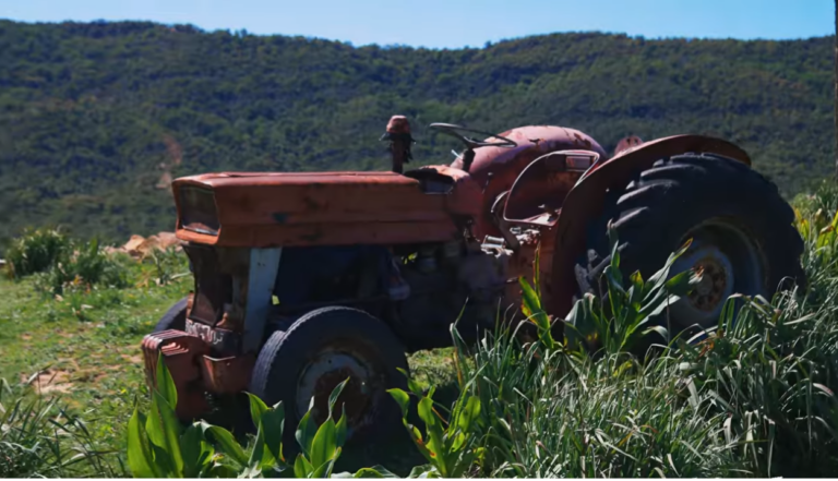 intervention de DVV International