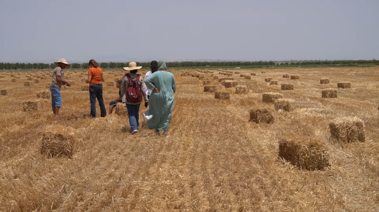 Apprendre autrement L’Andragogie au service des femmes en milieu rural