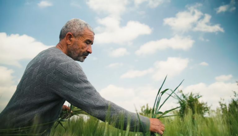 Autonomisation par l’agriculture Formations en production végétale